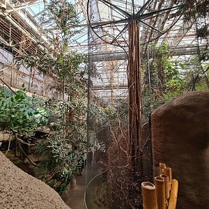 Asia - South Sumatran Prevost's squirrel enclosure in Taman Indah