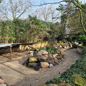 Asia - Malayan tapir outdoor enclosure