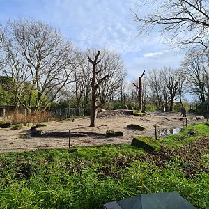 Asia - Asian elephant outdoor enclosure