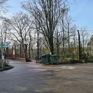 Asia - Asiatic lion enclosure