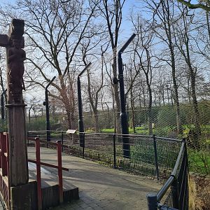 Asia - Asiatic lion viewing point