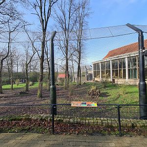 Asia - Asiatic lion enclosure