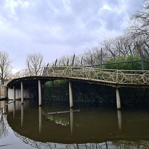 View of Tiger Bridge next to the Central pond