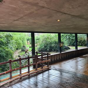 Asia - Sumatran tiger viewing point