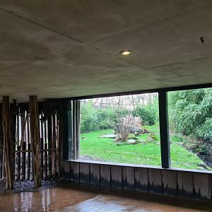 Asia - Sumatran tiger viewing point