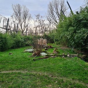 Asia - Sumatran tiger enclosure (Right half)