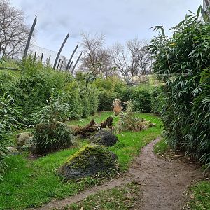 Asia - Sumatran tiger enclosure (Left half)