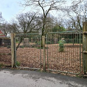 Africa - Mountain Bongo paddock