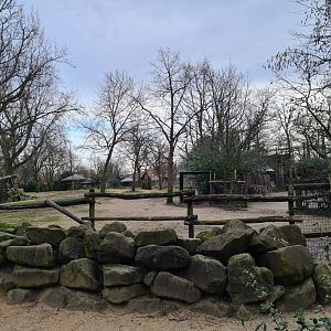 Africa - Addra gazelle paddock