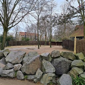 Africa - Addra gazelle paddock