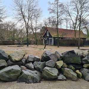 Africa - Addra gazelle paddock