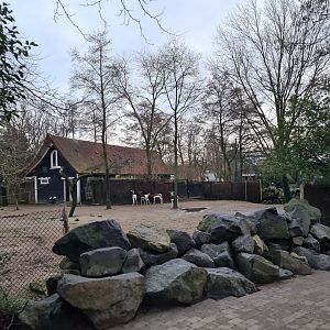 Africa - Addra gazelle paddock