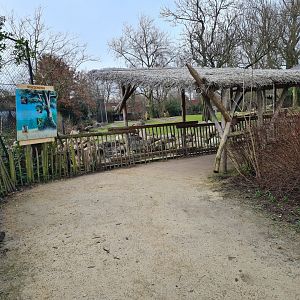 Africa - Smaller Savannah yard