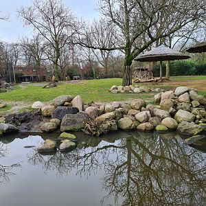 Africa - Smaller Savannah yard