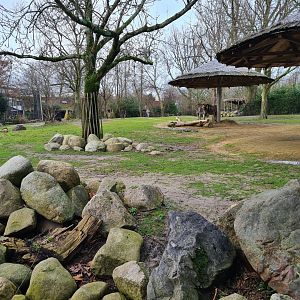 Africa - Smaller Savannah yard