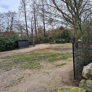 Africa - Smaller Savannah yard