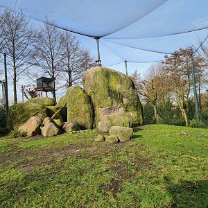 Africa - The titular vulture rock