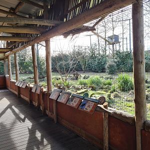 Africa - Vulture rock viewing gallery