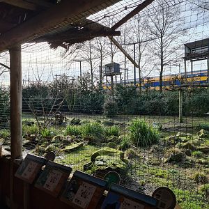 Africa - Vulture rock interior