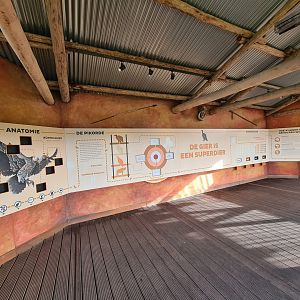 Africa - Education in Vulture rock viewing hut
