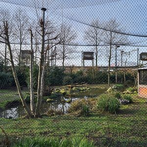 Africa - Vulture rock interior