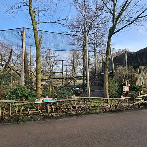 Africa - White-naped mangabey enclosure at the Kopje
