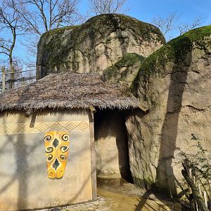 Africa - Kopje with indoor holding for White-naped mangabey and Serval