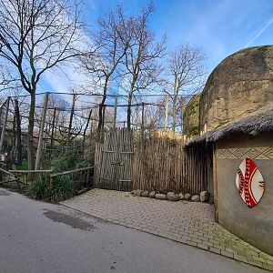 Africa - White-naped mangabey enclosure at the Kopje