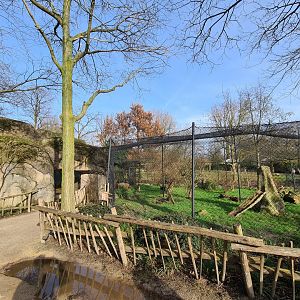 Africa - Serval enclosure at the Kopje
