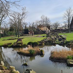 Africa - Larger Savannah enclosure