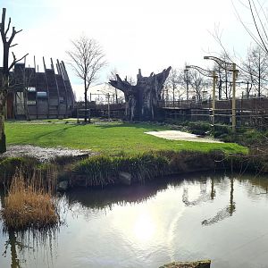 Africa - Larger Savannah enclosure