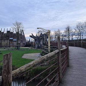 Africa - Savannah bridge