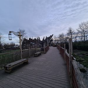 Africa - Savannah bridge