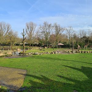 Africa - Larger Savannah enclosure