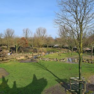 Africa - Larger Savannah enclosure