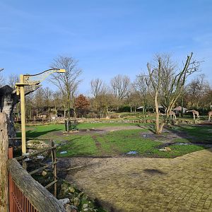 Africa - Larger Savannah enclosure