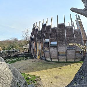 Africa - 'the onion' Giraffe barn