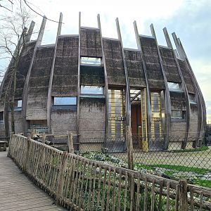 Africa - 'the onion' Giraffe barn