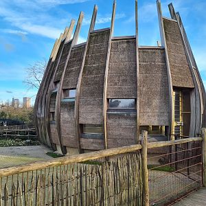 Africa - 'the onion' Giraffe barn