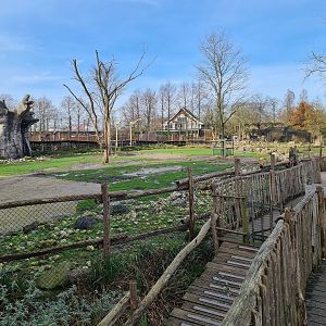 Africa - Larger Savannah enclosure