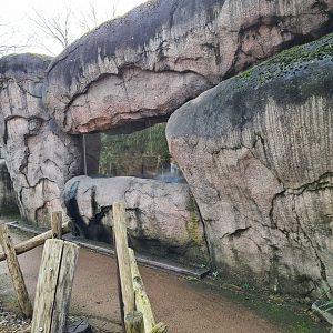 Africa - Smaller Kopje aviary indoor holding