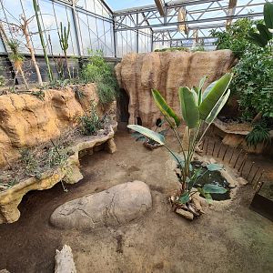 Africa - African spurred tortoise enclosure in Crocodile river