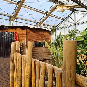 Africa - Viewing hut in Crocodile river greenhouse