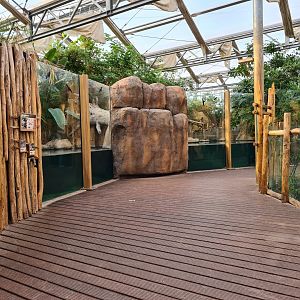 Africa - Nile crocodile viewing area in Crocodile river greenhouse