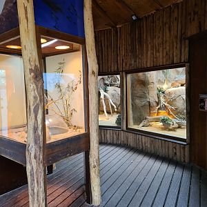 Africa - Second area of Crocodile river