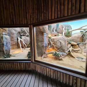 Africa - Terrariums in Crocodile river