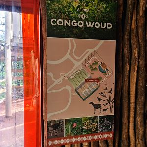 Africa - Minimap of Congo Forest area