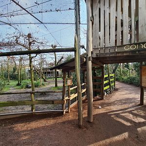 Africa - Okapi aviary general view