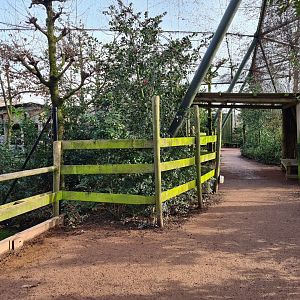 Africa - Okapi aviary pathway