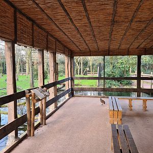 Africa - Okapi aviary viewing hut